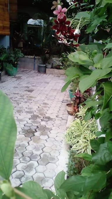 A Unique And Cozy Wholehouse In Babak Samal Island Vila Exterior foto